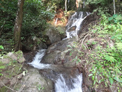 Ton Sai Waterfall, Thalang